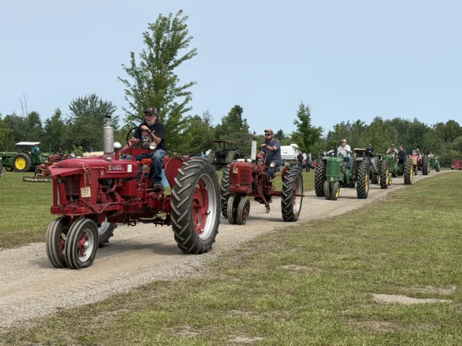 Showing off vintage tractors